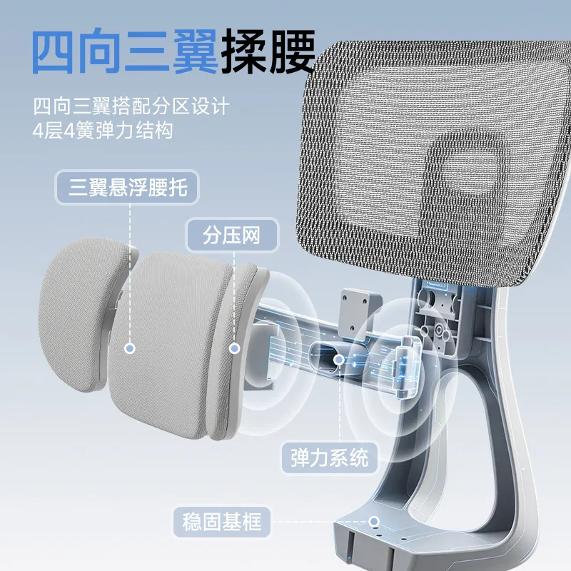 Ergonomic Office Chair with Lu - đánh giá và giá Home Office Desks