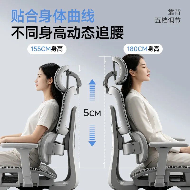 Ergonomic Office Chair with Lu - đánh giá và giá Home Office Desks