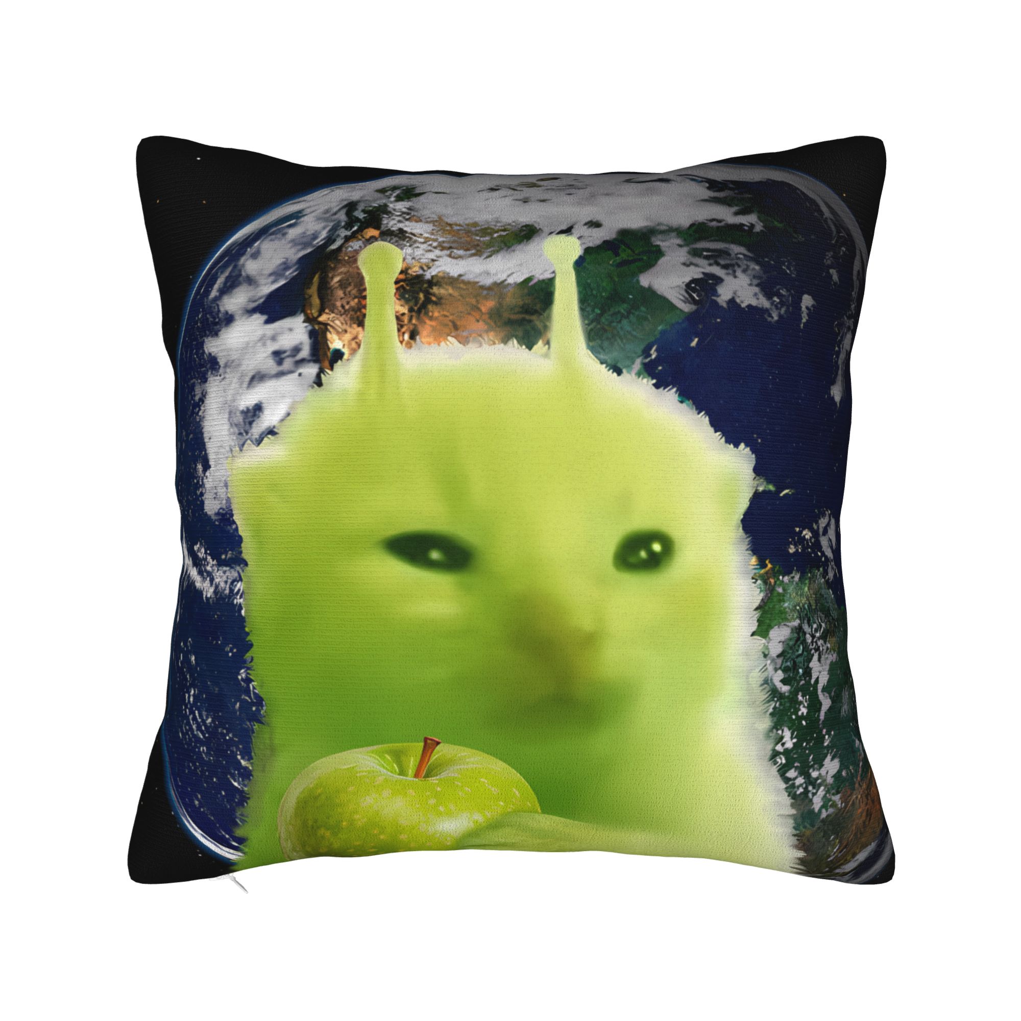 Green Alien Cat Meme Pillow Co - đánh giá và giá Home Office Design Ideas